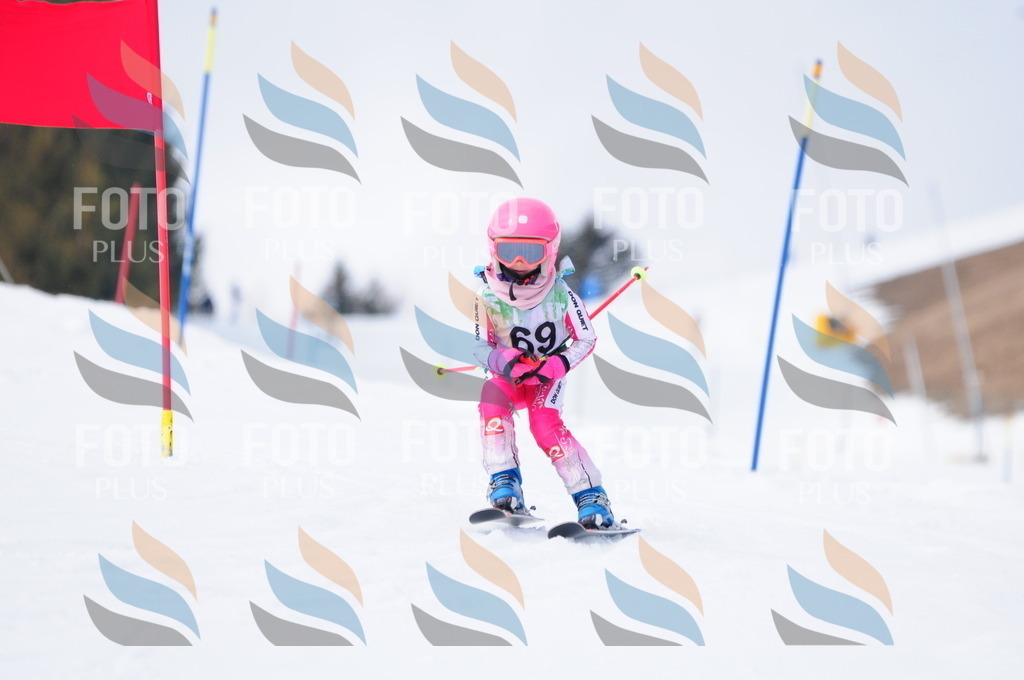 A3657 | holidayphoto