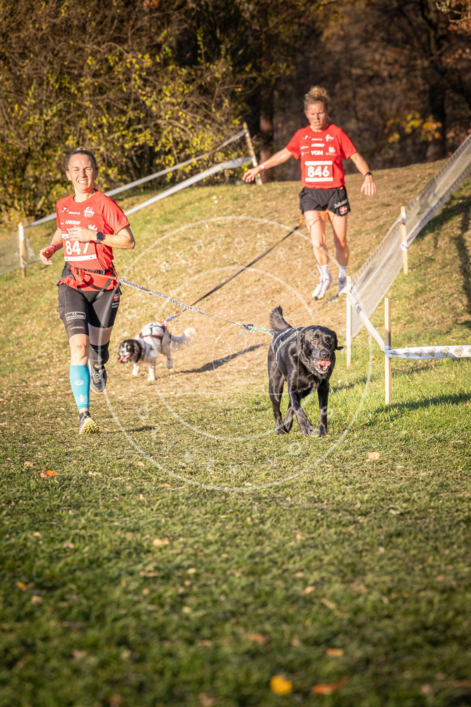 CaniXpix_0L8A0822 | Hundefotografie, Tierfotograf, Pfotenfotografie, Fotoshooting Hund, Hunde Portrait, Hundesport, Hundeportraits, Heideshooting, Hunde, Sportfotograf, Hundefotograf, Turnierhundsport, THS,  - Realisiert mit Pictrs.com