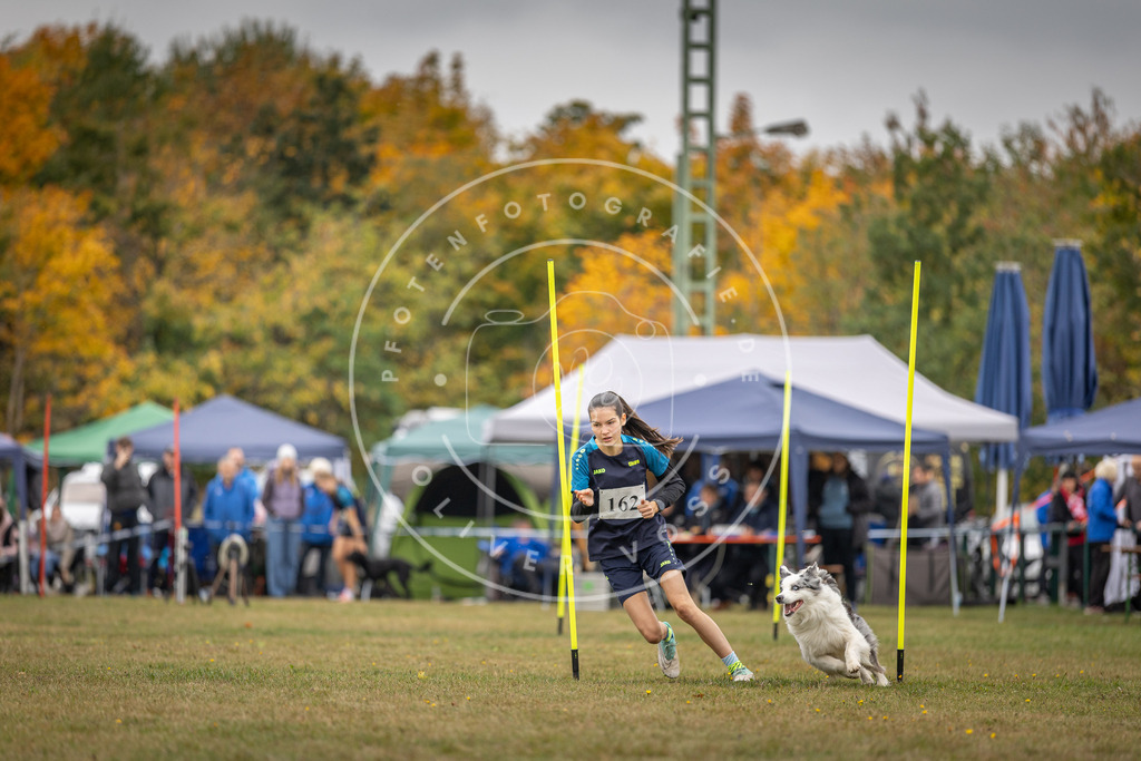 Pfotenfotografie_DV3A5149 | Hundefotografie, Tierfotograf, Pfotenfotografie, Fotoshooting Hund, Hunde Portrait, Hundesport, Hundeportraits, Heideshooting, Hunde, Sportfotograf, Hundefotograf, Turnierhundsport, THS,  - Realisiert mit Pictrs.com