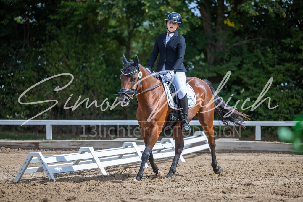 20260905-_3LI7732 | Tierfotografie Pferde, Hunde, Katzen, Haustiere.
Turnierfotografie Reitturniere, Reiten, Springreiten, Dressur in Hanau, dem Main-Kinzig-Kreis und dem Rhein-Main- Gebiet um Frankfurt