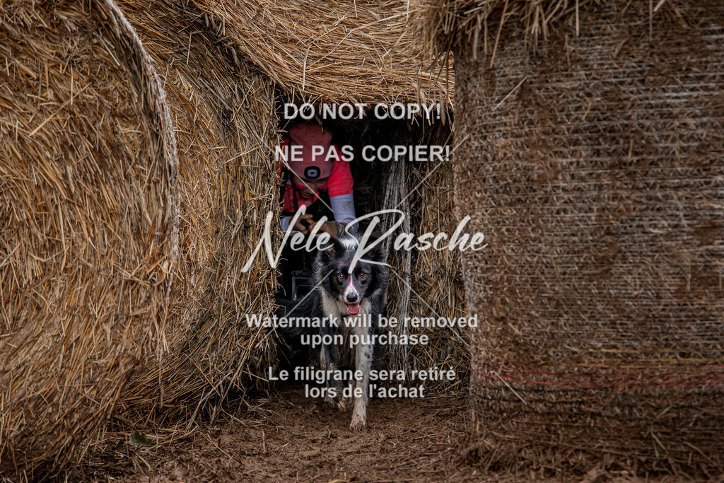 nelerasche_Hunsrück_So11-12_249 | nelerasche