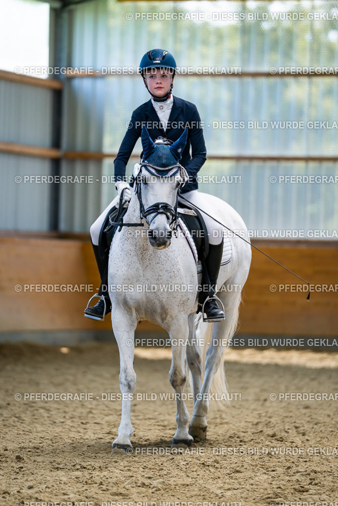 DSC05611 | Pferdegrafie