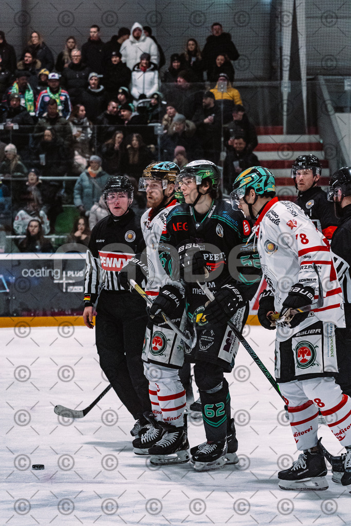 Alligators_vs_Toelz_15_02_2026-17 | Höchstadt Alligators Fotogalerie: Eishockey-Action aus Franken. Professionelle Spielfotos, Portraits & Stadionbilder zum Download. Jetzt entdecken! - Realisiert mit Pictrs.com