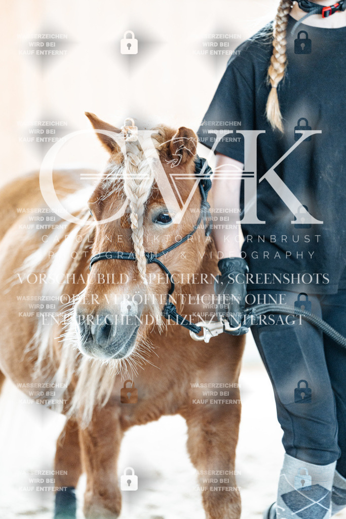 CK906988 | Turnierfotografie Pferdefotografie Trier Rheinland-Pfalz Pferdesport Reitsport Tierfotografie Sportfotografie Pferdevideo Pferdevideografie Equestrianvideography equestrianphotography  - Realisiert mit Pictrs.com