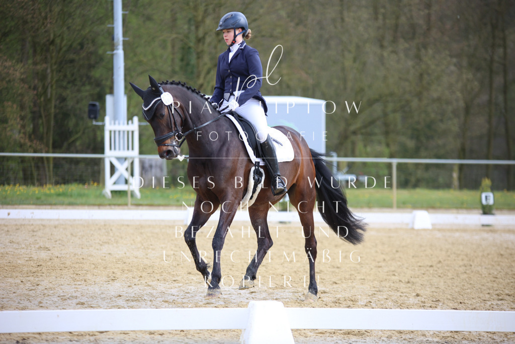 IMGT6087 | pl-fotografie