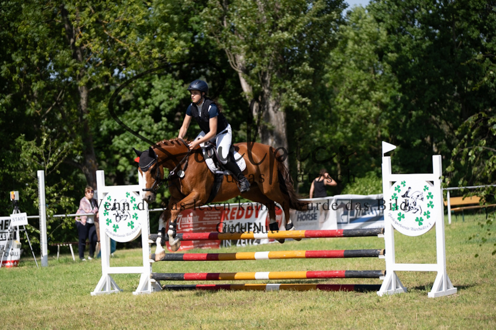 A7V05519 | Pferdefotograf