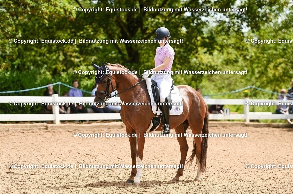 20230716_03_Dressurprfg. Kl.L - Tr._0213 | equistock