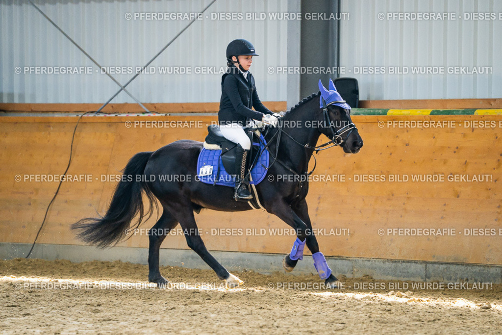 DSC02103 | Pferdegrafie