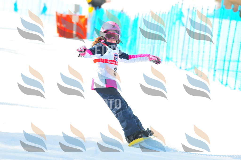 B8736 | holidayphoto