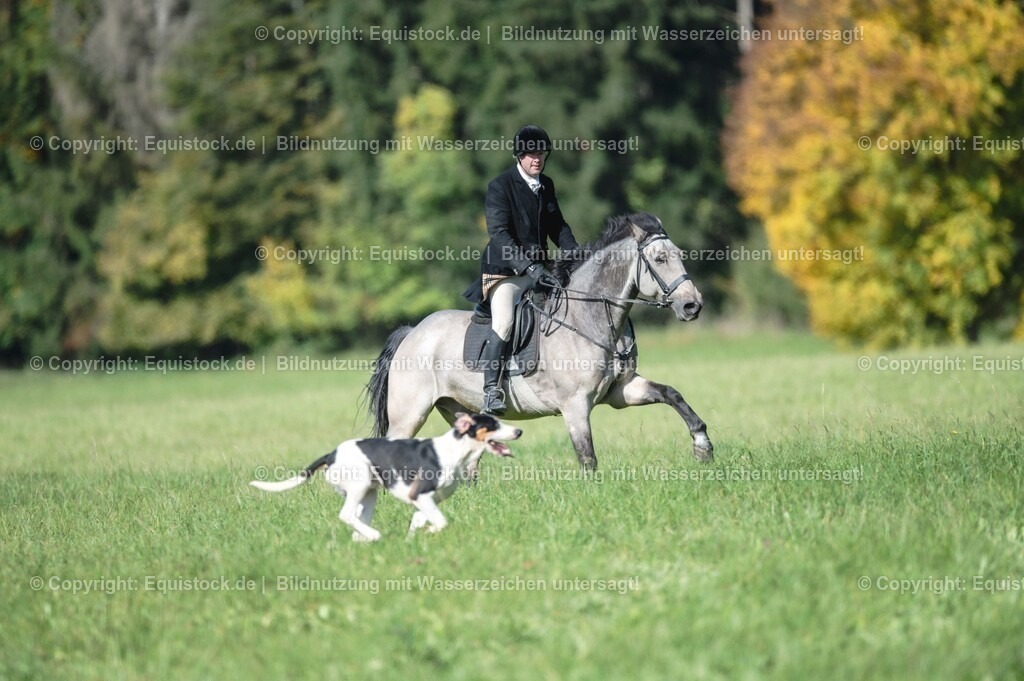 20251011_Jagd-Marbach_0238 | Foto: Thomas Hartig