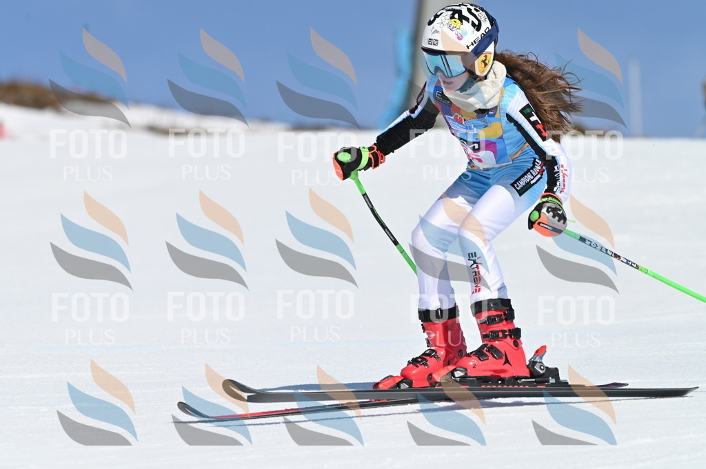 BGV_8655 | holidayphoto