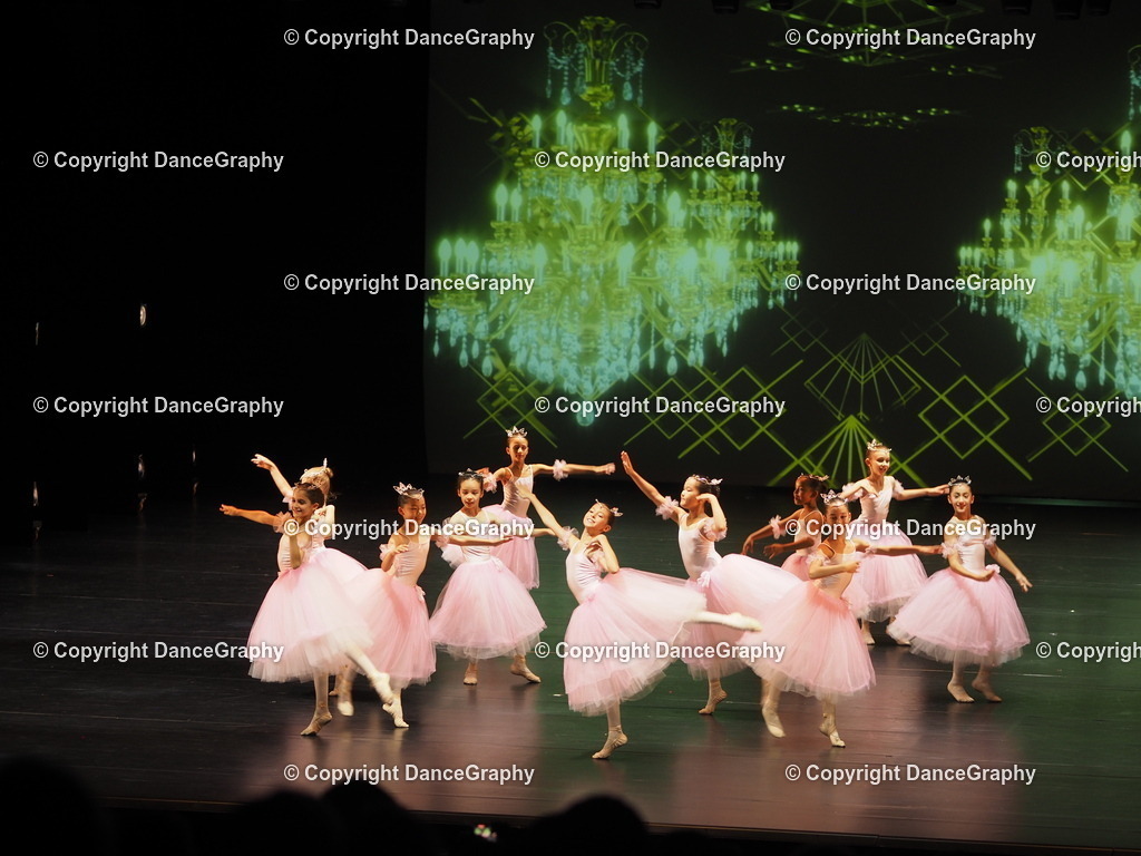 P7260411 | DanceGraphy - Realisiert mit Pictrs.com