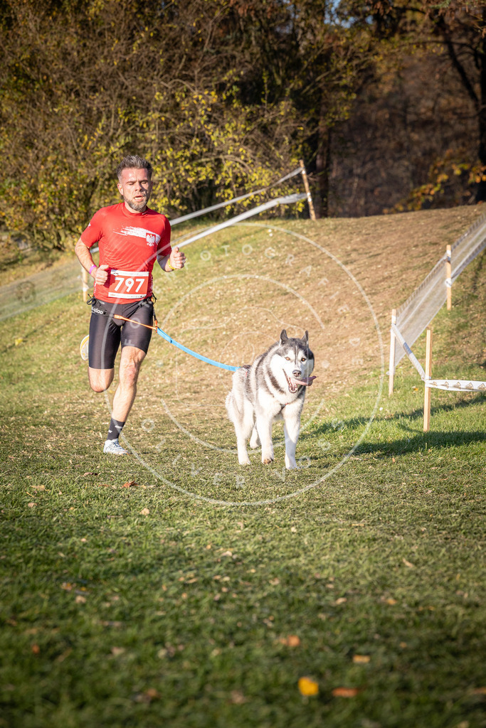 CaniXpix_0L8A0346 | Hundefotografie, Tierfotograf, Pfotenfotografie, Fotoshooting Hund, Hunde Portrait, Hundesport, Hundeportraits, Heideshooting, Hunde, Sportfotograf, Hundefotograf, Turnierhundsport, THS,  - Realisiert mit Pictrs.com