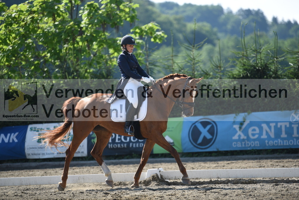 DSC_2420 | equestrian-live-com