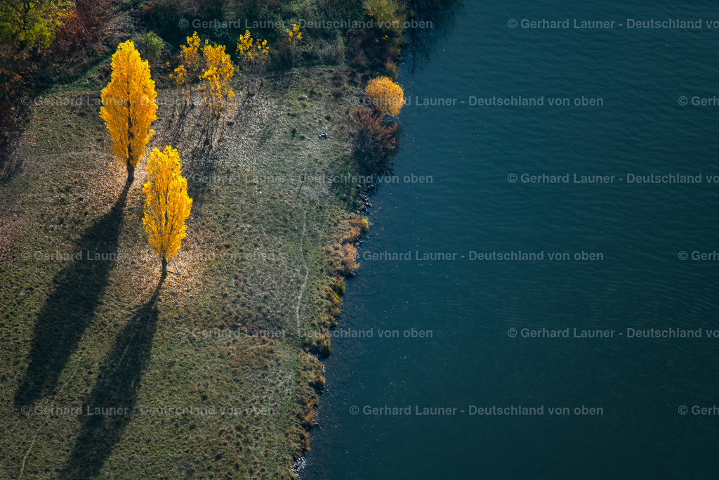 3807974 | Pappel bei Albertshofen