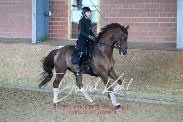 DKP42691 | Turniersportfotografie; Pferdefotografie; Dressurfotografie