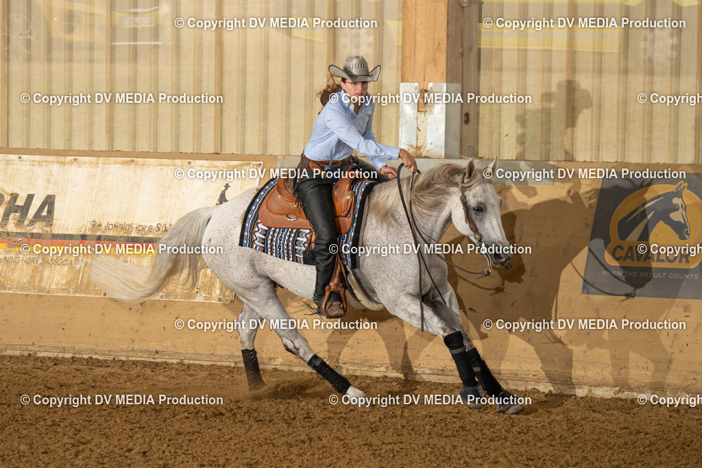 LAU00949 | dv-media-shop - Realisiert mit Pictrs.com