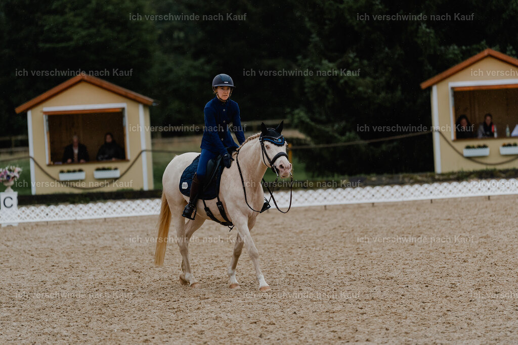 Nici11_FHC2025-8812 | working equitationturnier fotograf videograf stoibphotography marixx film working equitation deutschland reitsport turnierfotografie eventfotografie equestrian events