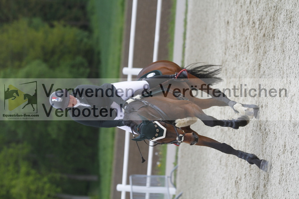 _MG_1896 | equestrian-live-com