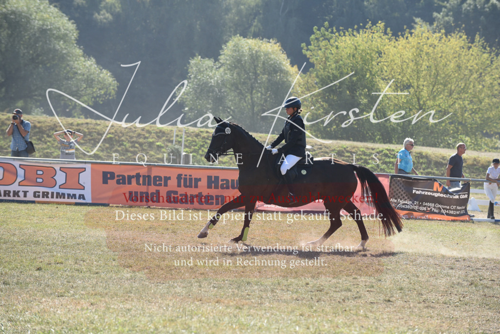 DSC_6010 | Pferde- und Turnierfotografie in Westsachsen. Pferdeportraits, Auftragszeichnungen und intuitive Kunst.