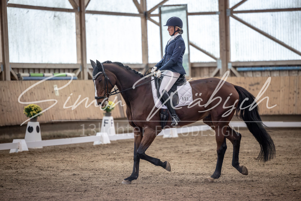 20251011-_3LI1658 | Tierfotografie Pferde, Hunde, Katzen, Haustiere.
Turnierfotografie Reitturniere, Reiten, Springreiten, Dressur in Hanau, dem Main-Kinzig-Kreis und dem Rhein-Main- Gebiet um Frankfurt
