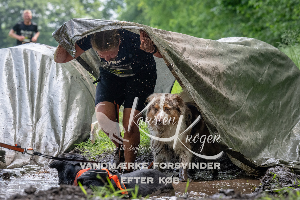 1137_ZZ93285 | kk-dogfotos