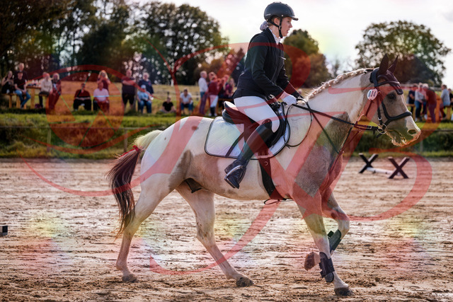 2026_10_03_Siefer-Hof_144219_Z81_15193596 | Professionelle Reitsport-, Turnier- und Eventfotografie von Robert Broda. Galerien mit ausgewählten und bearbeiteten Bildern direkt online ansehen und bestellen.