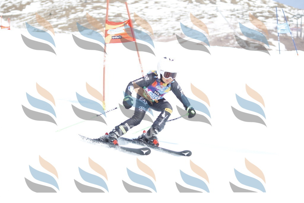 _U3G2921 | holidayphoto