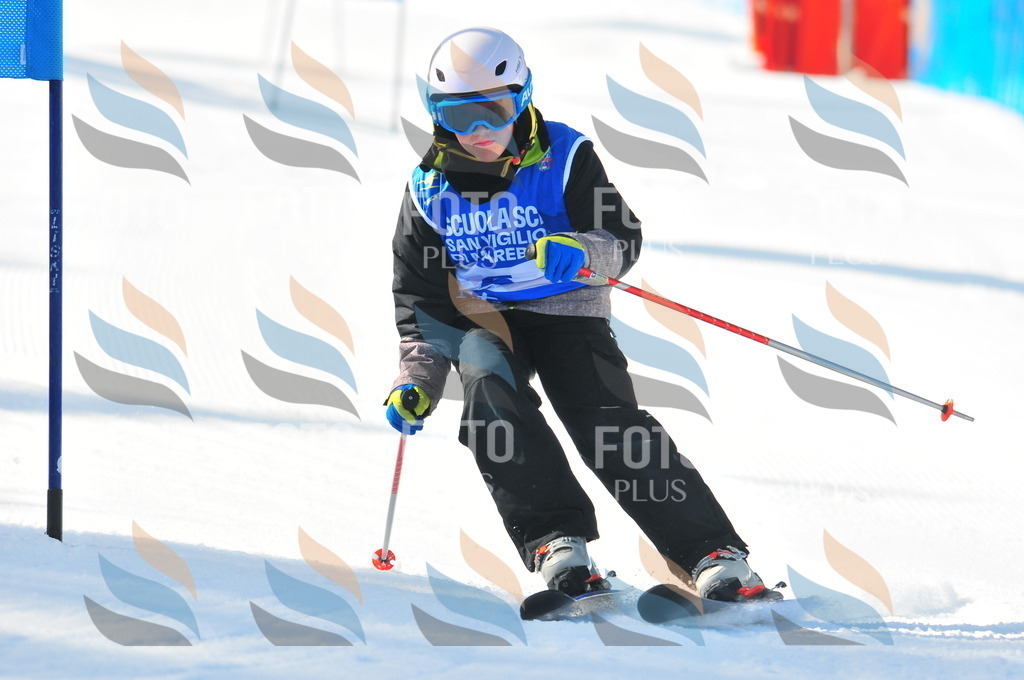 B8981 | holidayphoto