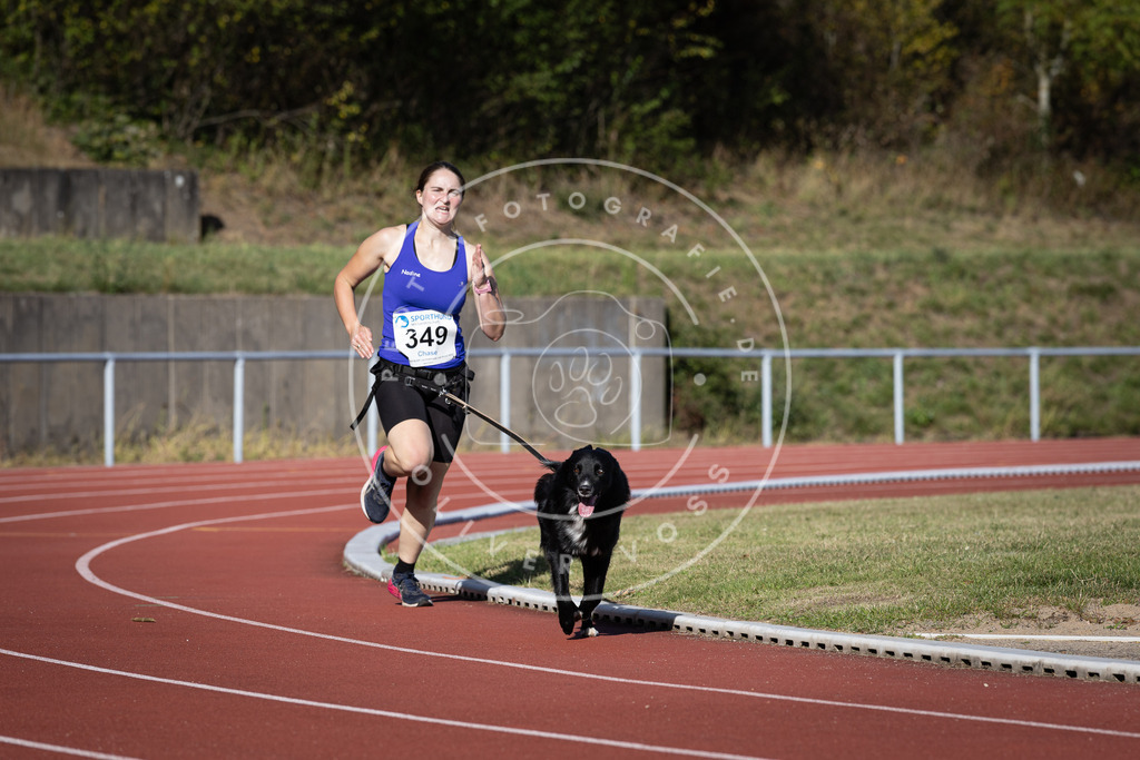 Pfotenfotografie_DV3A9295 | Hundefotografie, Tierfotograf, Pfotenfotografie, Fotoshooting Hund, Hunde Portrait, Hundesport, Hundeportraits, Heideshooting, Hunde, Sportfotograf, Hundefotograf, Turnierhundsport, THS,  - Realisiert mit Pictrs.com