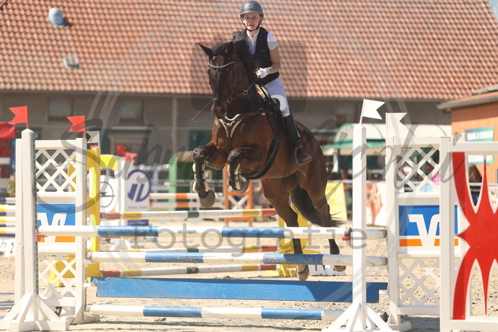 994A5840 | sabrinanicolaifotografie - Realisiert mit Pictrs.com