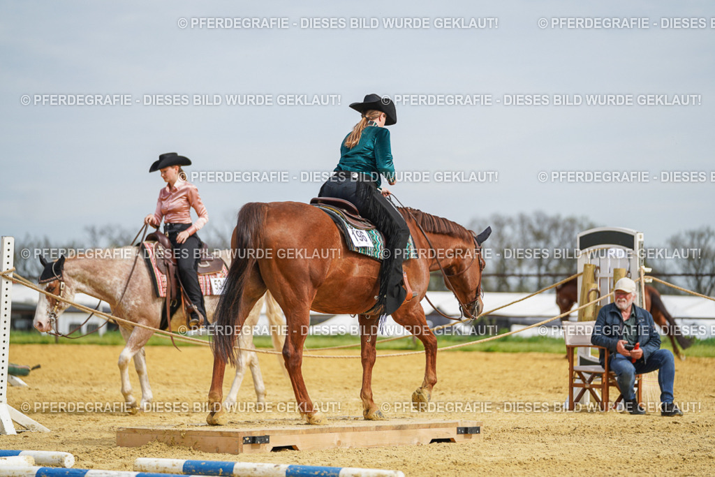 DSC03625 | Pferdegrafie