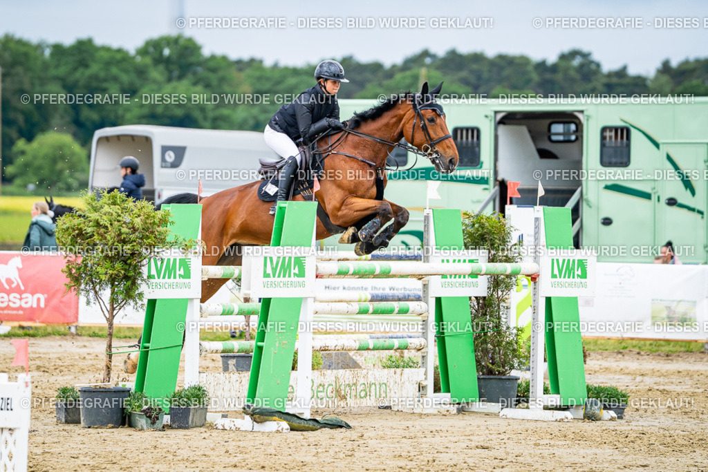 DSC04299 | Pferdegrafie