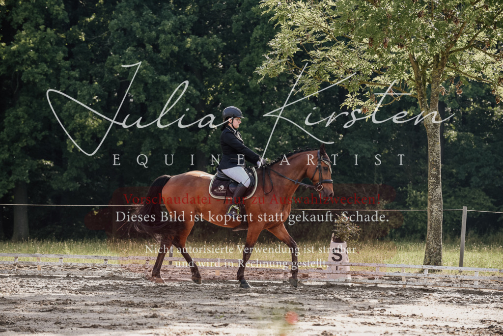 DSC_8509 | Pferde- und Turnierfotografie in Westsachsen. Pferdeportraits, Auftragszeichnungen und intuitive Kunst.