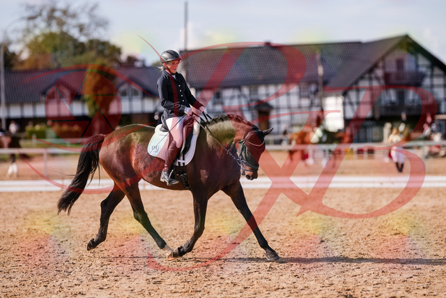 2026_10_03_Siefer-Hof_133826_Z81_96281769 | Professionelle Reitsport-, Turnier- und Eventfotografie von Robert Broda. Galerien mit ausgewählten und bearbeiteten Bildern direkt online ansehen und bestellen.