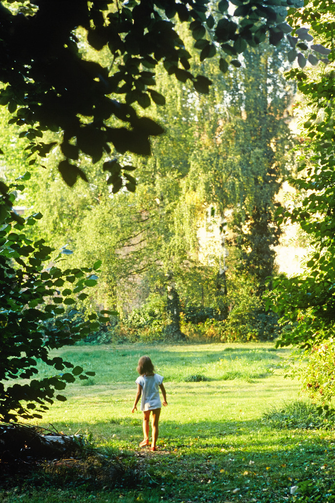 alterGarten_017700a | Garten der Weingartenstr.13, Offenburg 