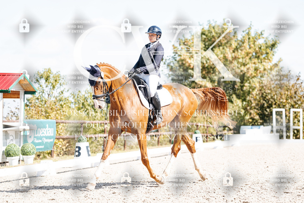 CK903154 | Turnierfotografie Pferdefotografie Trier Rheinland-Pfalz Pferdesport Reitsport Tierfotografie Sportfotografie Pferdevideo Pferdevideografie Equestrianvideography equestrianphotography  - Realisiert mit Pictrs.com