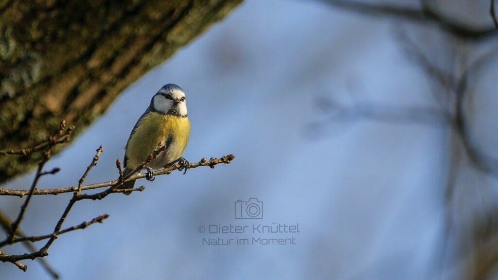 P1004038-Bearbeitet-2024-LR | Natur im Moment - Realisiert mit Pictrs.com