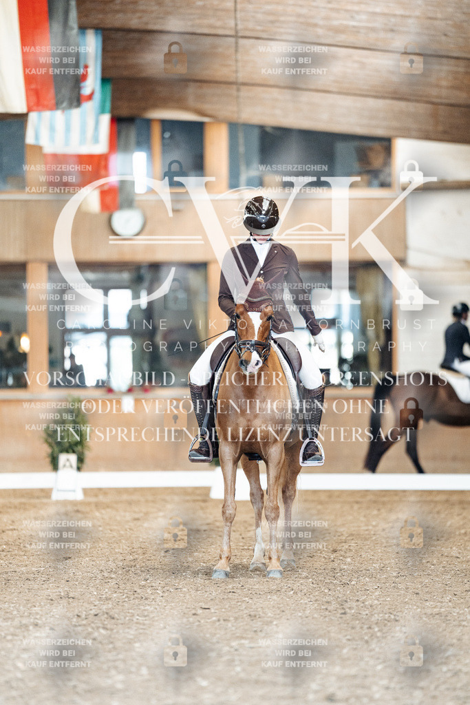 CK900824 | Turnierfotografie Pferdefotografie Trier Rheinland-Pfalz Pferdesport Reitsport Tierfotografie Sportfotografie Pferdevideo Pferdevideografie Equestrianvideography equestrianphotography  - Realisiert mit Pictrs.com