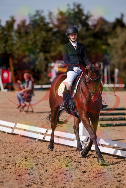 2026_10_03_Siefer-Hof_130744_Z81_58778018 | Professionelle Reitsport-, Turnier- und Eventfotografie von Robert Broda. Galerien mit ausgewählten und bearbeiteten Bildern direkt online ansehen und bestellen.