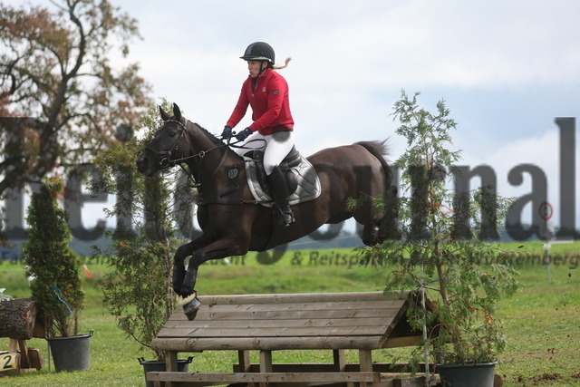 Altensteig_2024_Prfg.Nr.02_Geländepferdeprfg.Kl.A_Iris Hörmann_Diacontina Black Pearl (5) | Alle Fotos der Reiterjournal Fotografin Doris Matthaes im Reiterjournal Online-Fotoshop. - Realisiert mit Pictrs.com