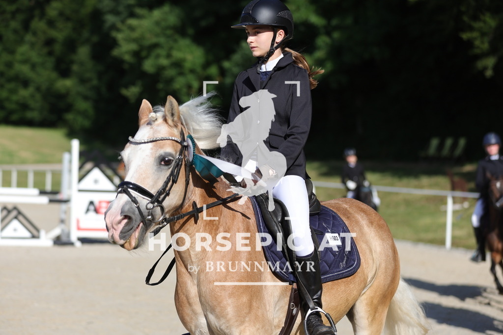0P6A3365 | Willkommen bei Brunnmayr - Design & Fotografie – Ihrem Spezialisten für Reitturniere und Pferdeveranstaltungen in Oberösterreich, Salzburg und Bayern! Seit über 17 Jahren sind wir leidenschaftlich dabei.