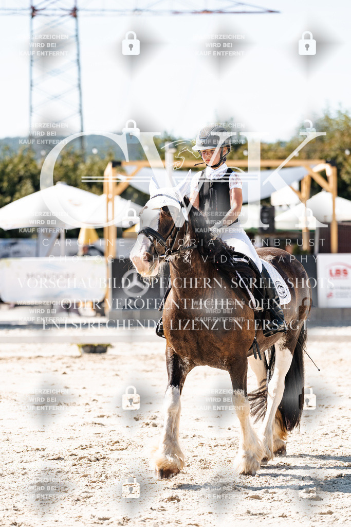 CK902985 | Turnierfotografie Pferdefotografie Trier Rheinland-Pfalz Pferdesport Reitsport Tierfotografie Sportfotografie Pferdevideo Pferdevideografie Equestrianvideography equestrianphotography  - Realisiert mit Pictrs.com