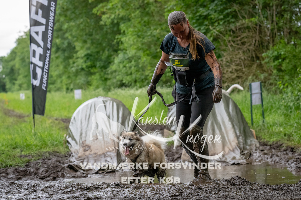 1558_ZZ91544-Bearbeitet | kk-dogfotos