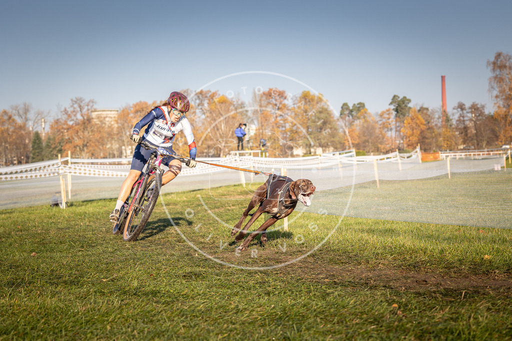 CaniXpix_0L8A4294 | Hundefotografie, Tierfotograf, Pfotenfotografie, Fotoshooting Hund, Hunde Portrait, Hundesport, Hundeportraits, Heideshooting, Hunde, Sportfotograf, Hundefotograf, Turnierhundsport, THS,  - Realisiert mit Pictrs.com