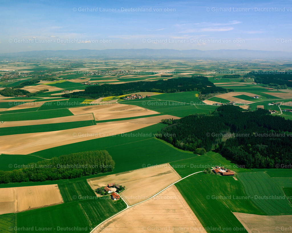 2519133 | Obersunzing, Leiblfing