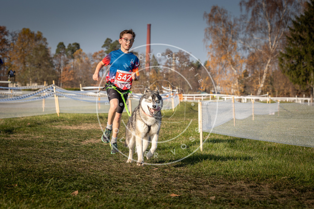 CaniXpix_0L8A9049 | Hundefotografie, Tierfotograf, Pfotenfotografie, Fotoshooting Hund, Hunde Portrait, Hundesport, Hundeportraits, Heideshooting, Hunde, Sportfotograf, Hundefotograf, Turnierhundsport, THS,  - Realisiert mit Pictrs.com