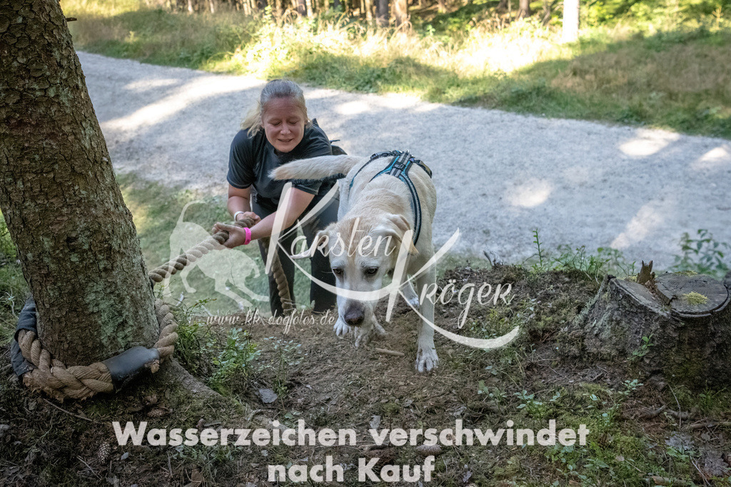 1202_ZZ93129 | kk-dogfotos