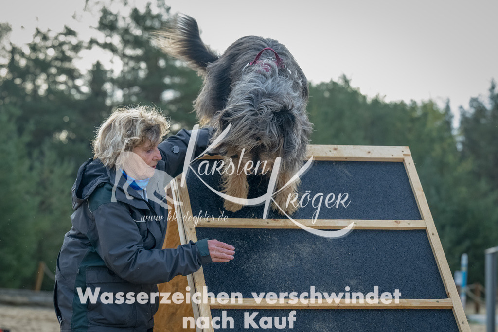 0908_ZZ91869-Bearbeitet | kk-dogfotos
