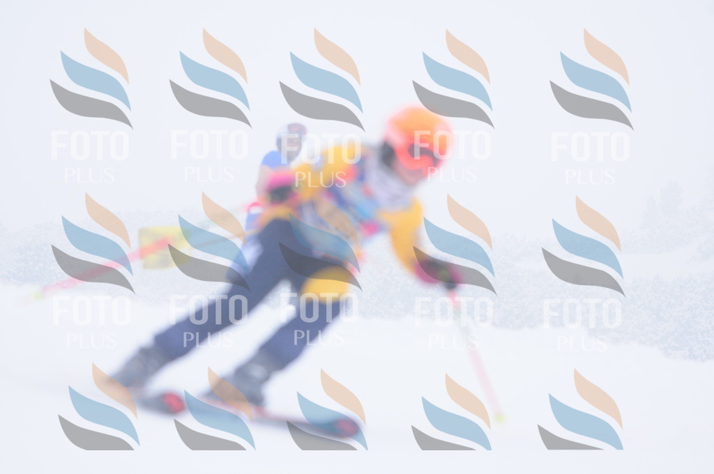 C1846 | holidayphoto